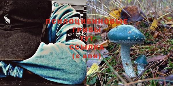 крисы Алексин